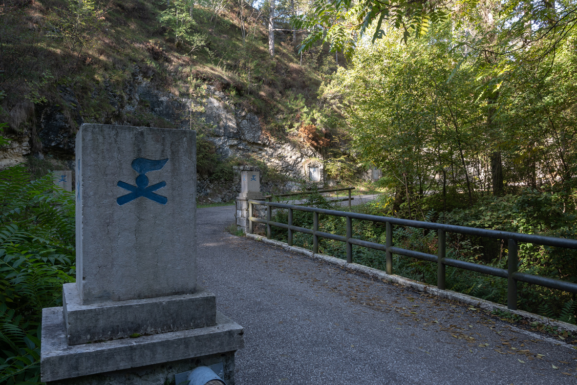 DSC 1519kl