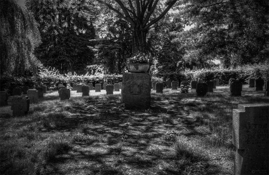 DSC 2818 19 20 21 22 23 Monochromskl