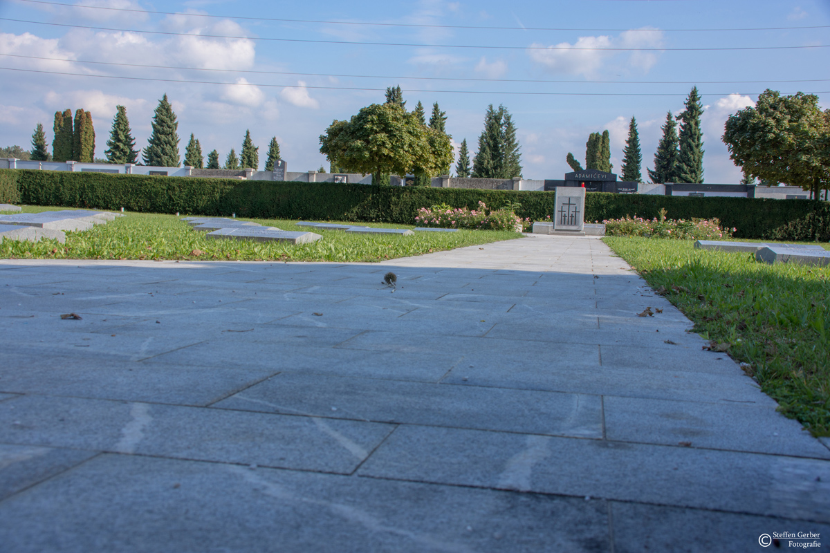 DSC 5042 I
