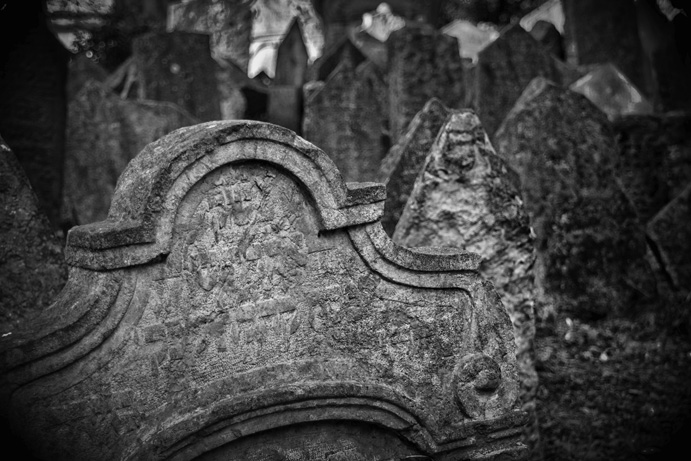  DSC0013sws